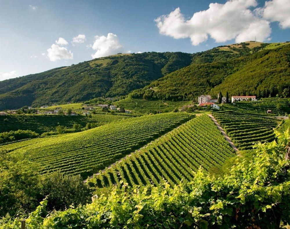 Follinetta10 - Enjoy Holiday Home In The Prosecco Hills Follina Exterior photo